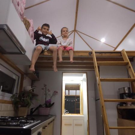 SinnicoaraTiny House Cluj With Jacuzzi别墅 外观 照片