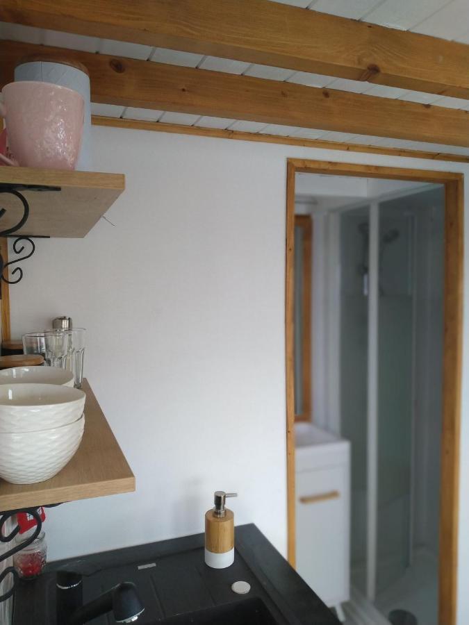 SinnicoaraTiny House Cluj With Jacuzzi别墅 外观 照片