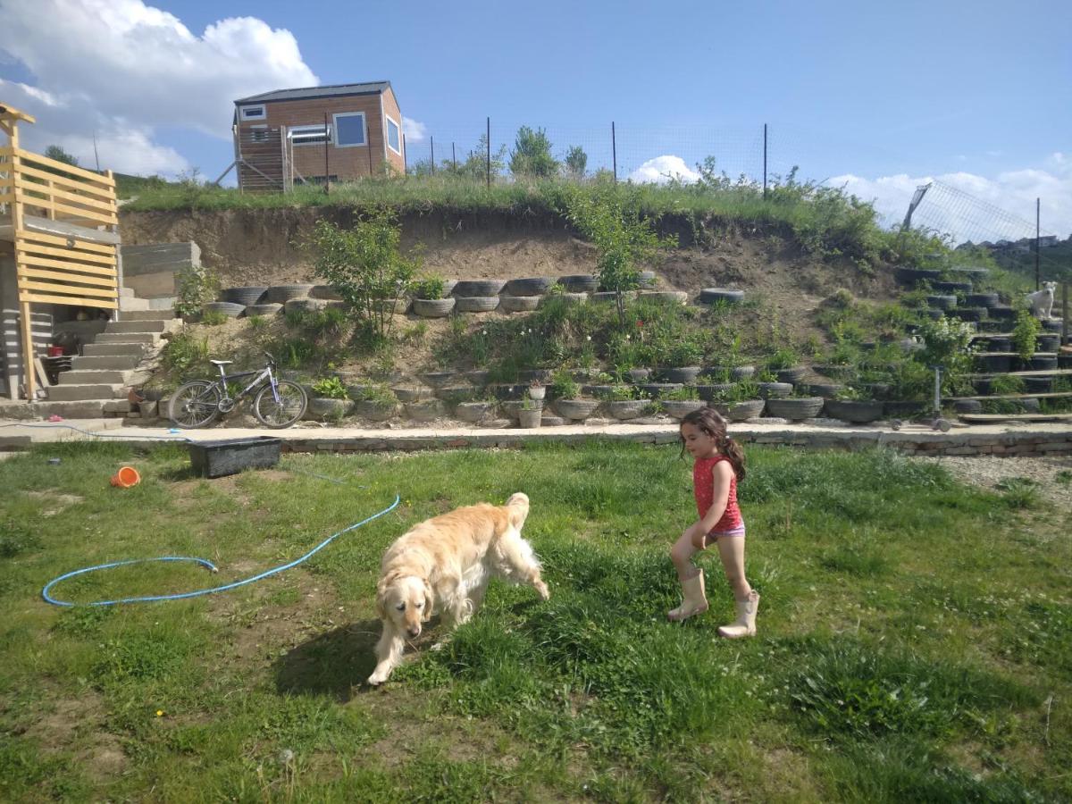 SinnicoaraTiny House Cluj With Jacuzzi别墅 外观 照片