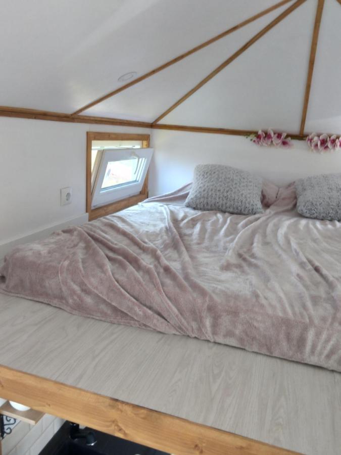 SinnicoaraTiny House Cluj With Jacuzzi别墅 外观 照片